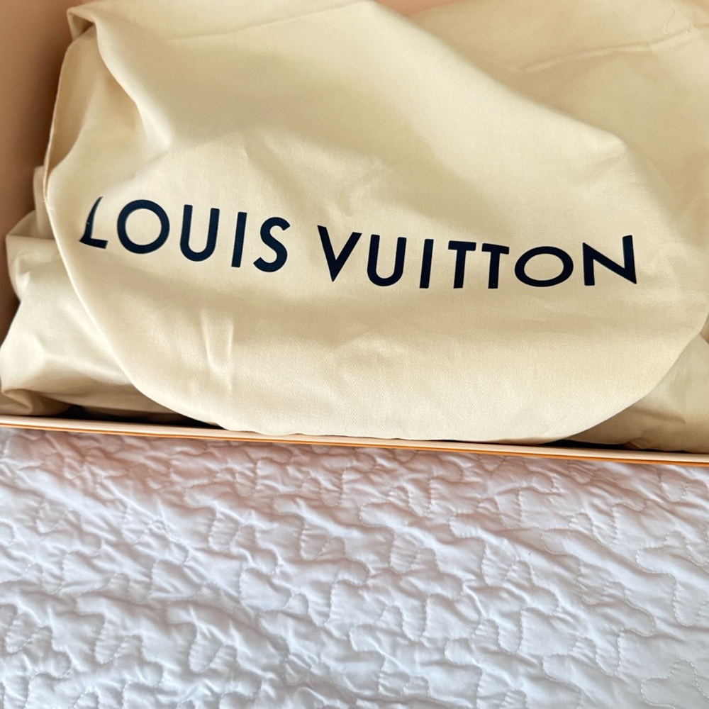 Louis Vuitton New Bag